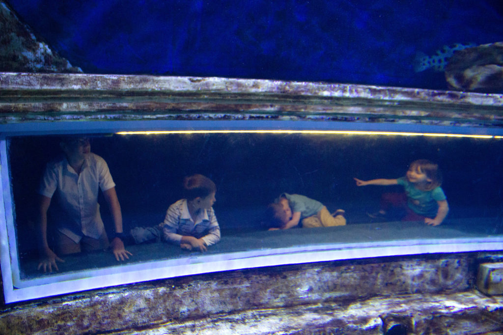 אקוואריום ישראל kids playing in the aquarium at a family trip to Jerusalem